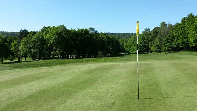 Pronajímáme tenisové kurty a golfová hřiště